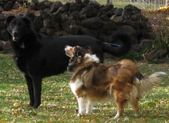 Enlarge photo 160