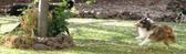 Enlarge photo 161