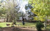 Enlarge photo 90