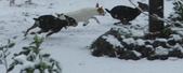 Enlarge photo 146
