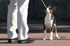 Enlarge photo 14