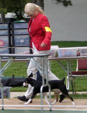 Enlarge photo 6