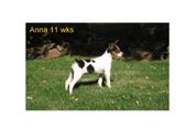 Enlarge photo 18