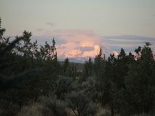 Enlarge photo 33