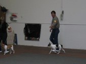 Enlarge photo 32