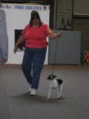 Enlarge photo 36