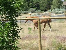 Enlarge photo 145