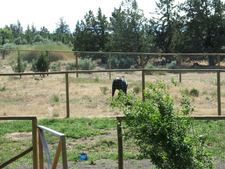 Enlarge photo 146
