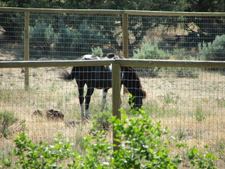 Enlarge photo 147