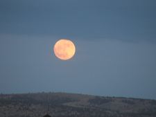 Enlarge photo 149
