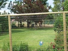 Enlarge photo 163
