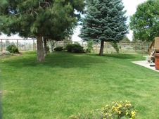 Enlarge photo 167