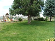 Enlarge photo 168