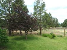 Enlarge photo 177