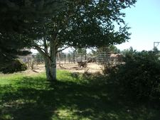 Enlarge photo 25