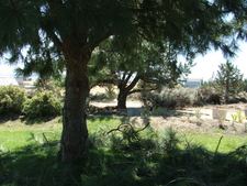 Enlarge photo 26