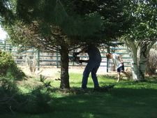 Enlarge photo 32
