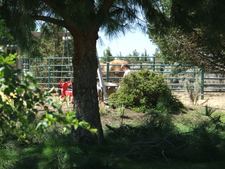 Enlarge photo 33