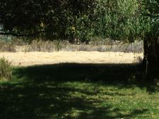 Enlarge photo 38