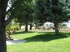 Enlarge photo 39