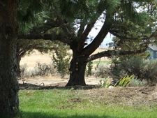 Enlarge photo 44