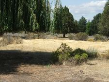 Enlarge photo 46