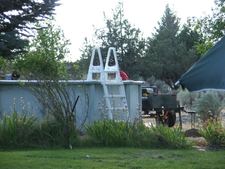 Enlarge photo 48