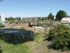 Enlarge photo 52