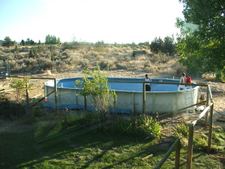 Enlarge photo 53