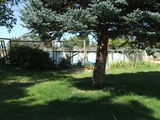 Enlarge photo 55