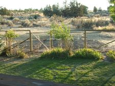 Enlarge photo 71