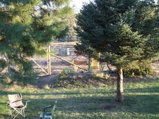 Enlarge photo 68