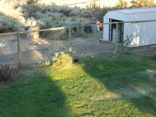 Enlarge photo 72