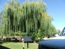 Enlarge photo 76
