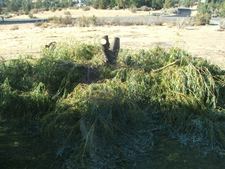 Enlarge photo 77