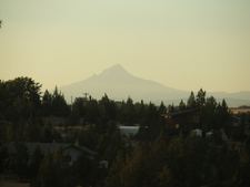 Enlarge photo 92