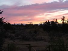 Enlarge photo 93