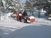 Enlarge photo 85