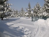 Enlarge photo 83