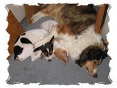 Enlarge photo 90