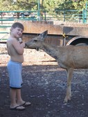 Enlarge photo 30