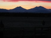 Enlarge photo 96