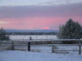 Enlarge photo 86