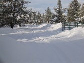 Enlarge photo 82