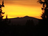 Enlarge photo 77