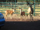Enlarge photo 32
