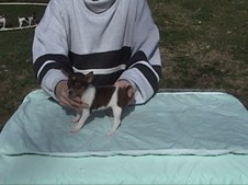 Enlarge photo 37