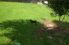 Enlarge photo 73