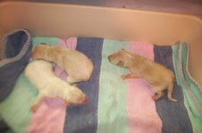 Enlarge photo 23