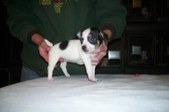 Enlarge photo 14